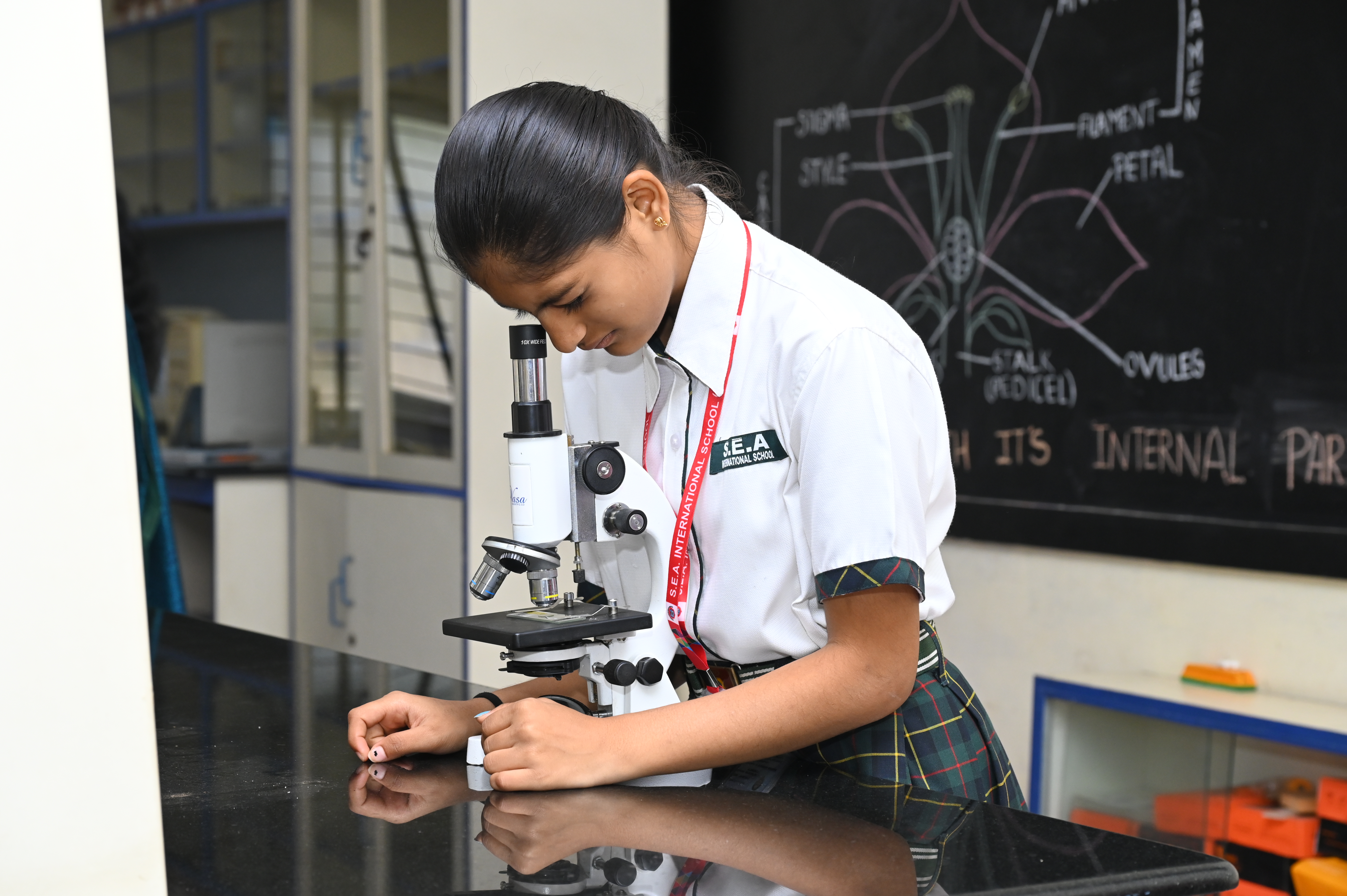 Biology microscope observation