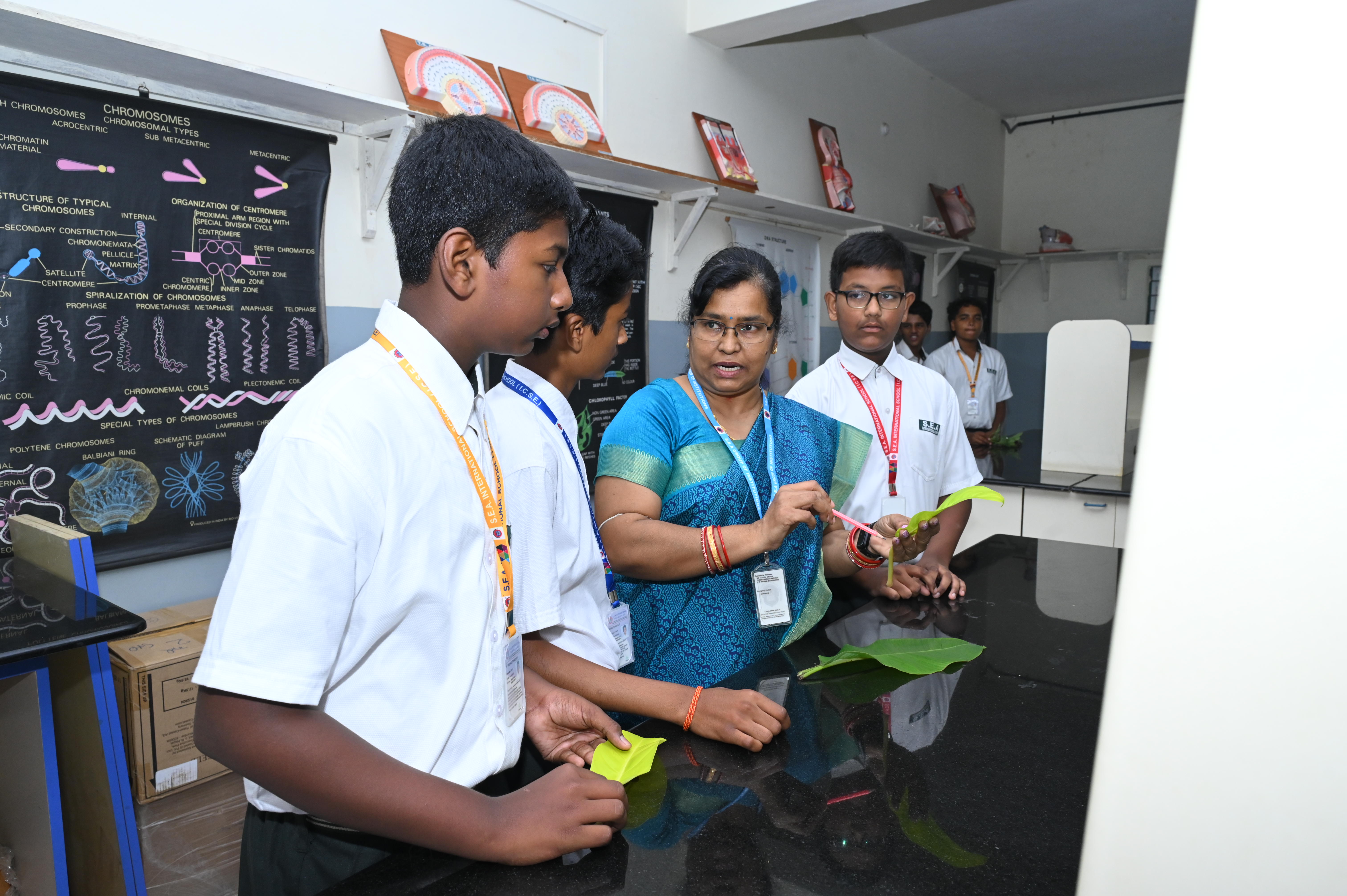 Computer science laboratory terminals